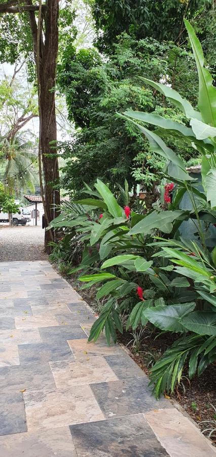 Tucan Hotel Uvita Ngoại thất bức ảnh