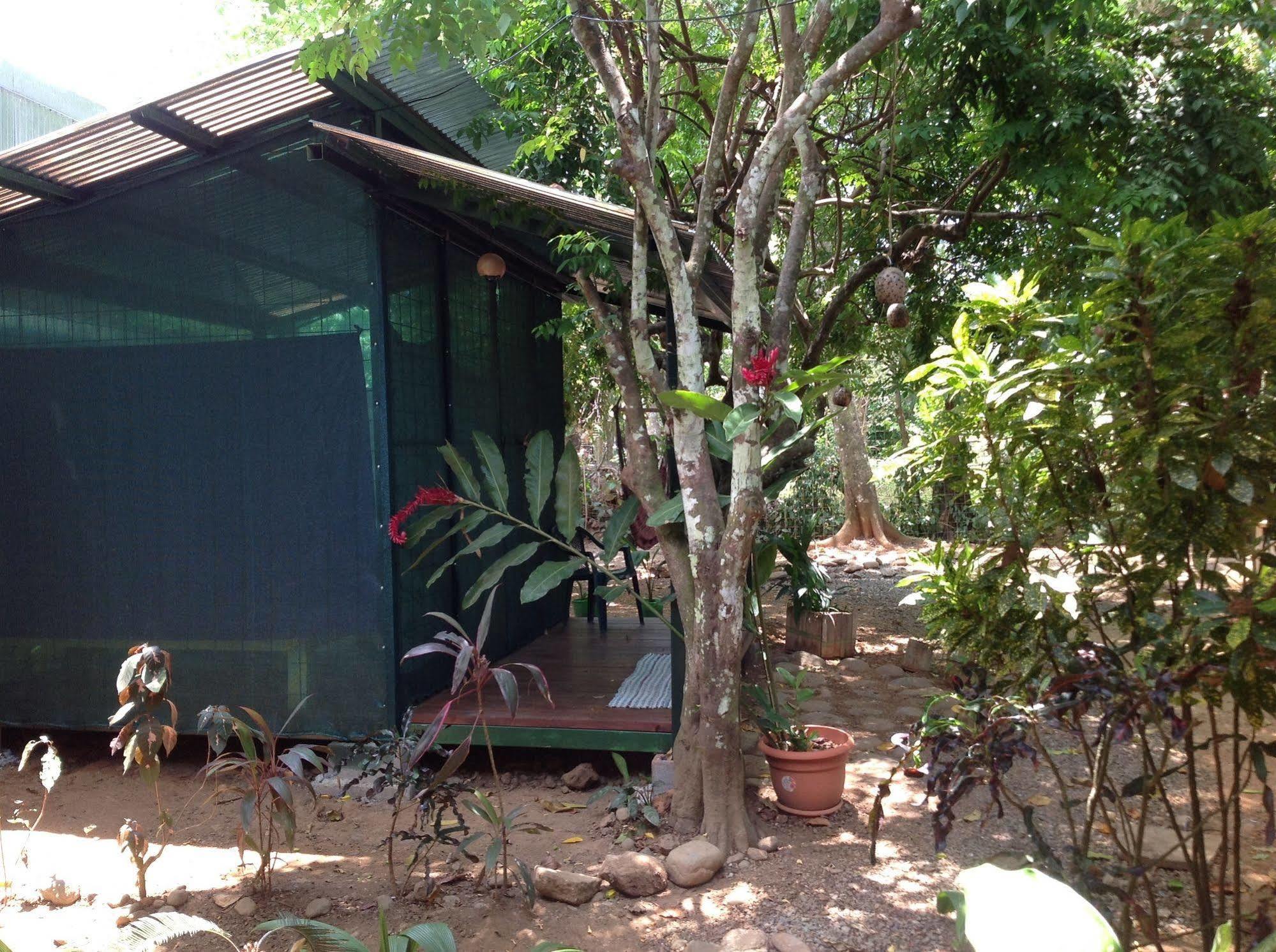Tucan Hotel Uvita Ngoại thất bức ảnh